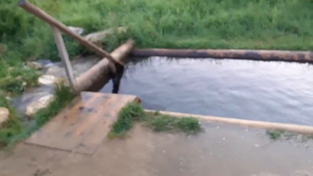 Святой источник с купальней в с. Починки смотреть онлайн