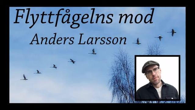 Anders Larsson: Flyttfågelns mod смотреть онлайн