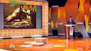 Своя игра. Кораблина - Сапрыкин - Эджибия (04.06.2017)