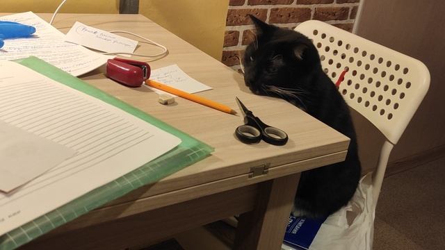 ?Кошка секретарь смотреть онлайн