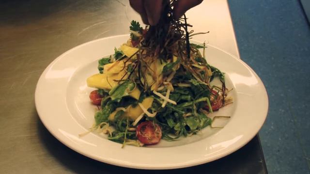 The PUB on the Terrace, Wellington смотреть онлайн