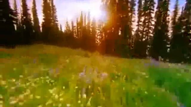 Музыкальный сюрреализм смотреть онлайн