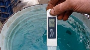 Как кормить удобрениям МАСТЕР 20/20/20