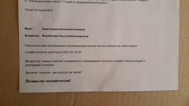 забрали котика с клиники смотреть онлайн