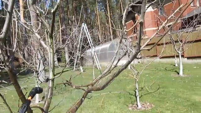 ВЕСЕННЯЯ ОБРАБОТКА САДА. Чем обработать сад весной. смотреть онлайн