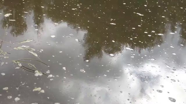 ПАХРА- ПОДОЛЬСК-ФИДЕР- РЫБАЛКА смотреть онлайн