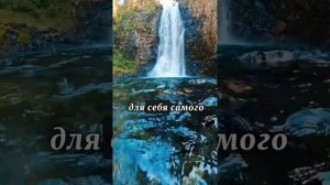 Крылатая латынь. Знаки тут.