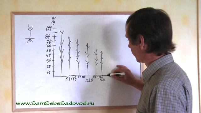 07 - О клоновых подвоях и саженцах со вставкой смотреть онлайн
