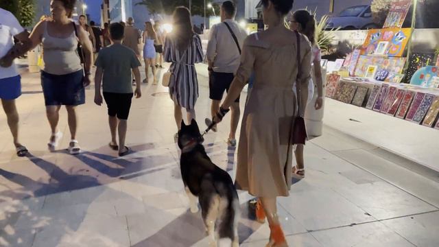 Ljetovanje u Zadru - Morske orgulje, Pozdrav Suncu, Kalelarga, Sv. Donat (4K Video - Ultra HD) смотреть онлайн