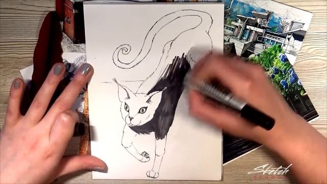 21 урок - Рисуем кошку [Sketch School]