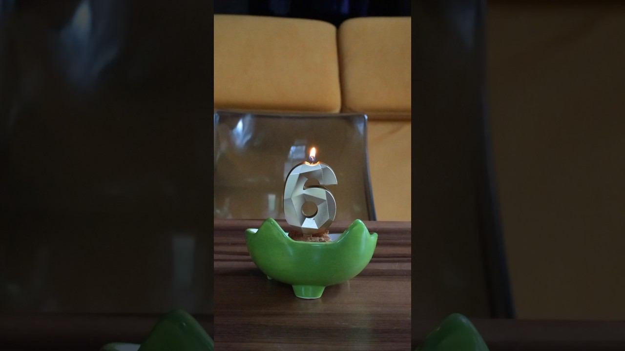 Ровно 6 месяцев назад мы спасли этого котенка  #реки #shortsyoutube #животные #милыекотята #кот