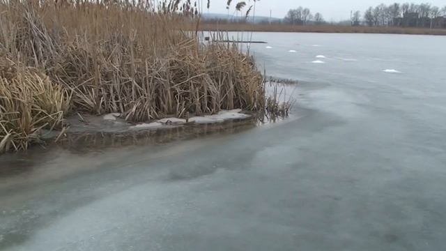 Прогноз рыбалки на 01-10 марта 2014 смотреть онлайн