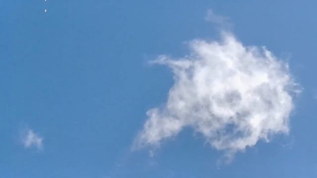 #PIGEONS. Молодые бакинцы хорошо ушли в ветренную погоду 20.09.2020г. смотреть онлайн