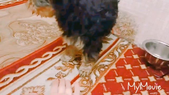 Мой. Боня 1 день смотреть онлайн