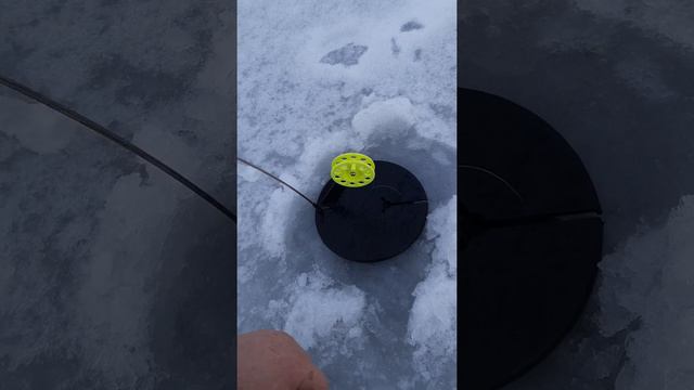 Первая зимняя рыбалка на жерлицы !!!)) смотреть онлайн