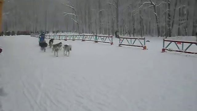 6 января 2015 Самара "Рождественские гонки" смотреть онлайн