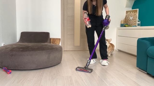 ОТУЧАЮ СОБАК КУСАТЬ пылесос с помощью БУТЫЛКИ смотреть онлайн