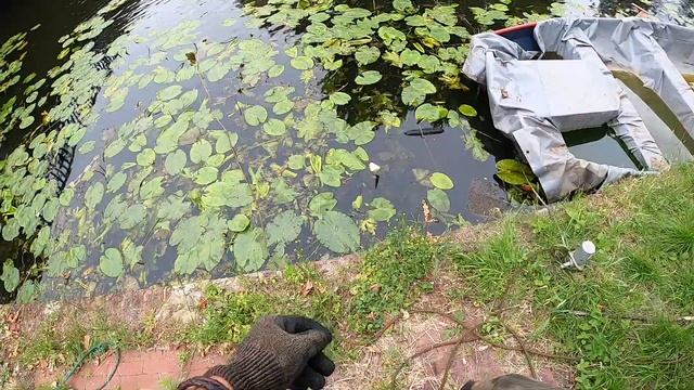 We're Back! Magnet Fishing the Hotspot- What Will We Find This Time? смотреть онлайн