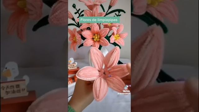 Flores de limpiapipas ??? смотреть онлайн