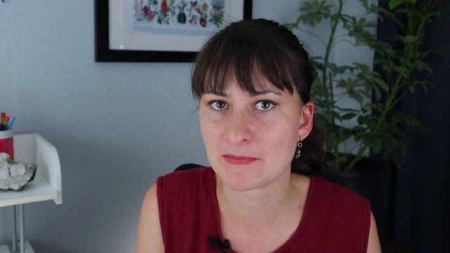 How to start a wildflower garden ? Advice from a landscape designer смотреть онлайн