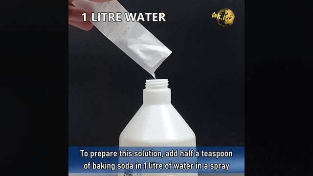 10 MIRACLES OF BAKING SODA IN GARDEN || GARDENING IDEAS DURING LOCKDOWN смотреть онлайн