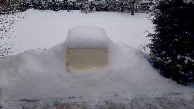 Сад зимой ( и немного лета). Многолетники - зимовка. смотреть онлайн