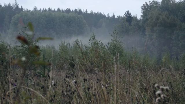 Экипировка SHAMAN ХСН ваш персональным хранителем! смотреть онлайн