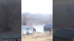 село Огни Усть-Калманского района