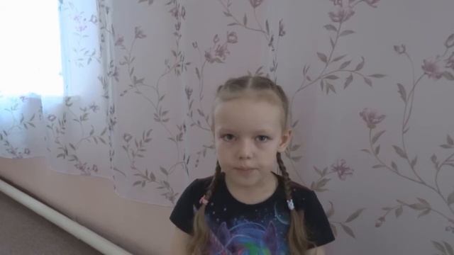 Беседа с детьми о ДНВ смотреть онлайн