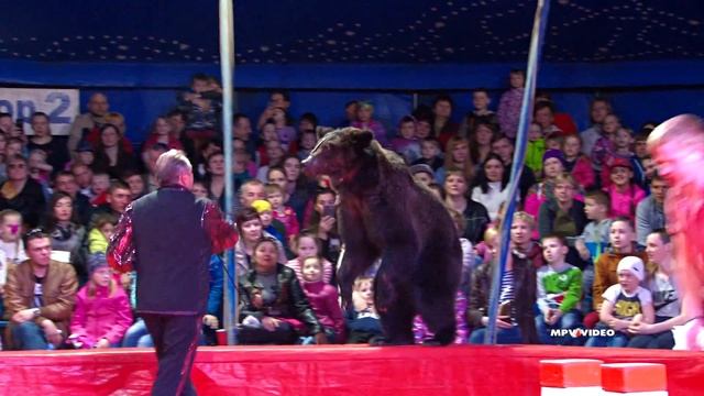 Dogs Bears Monkeys Animals Sirk Circus Show смотреть онлайн