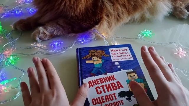 ОБЗОР КНИГИ ДНЕВНИК СТИВА №4!!! смотреть онлайн