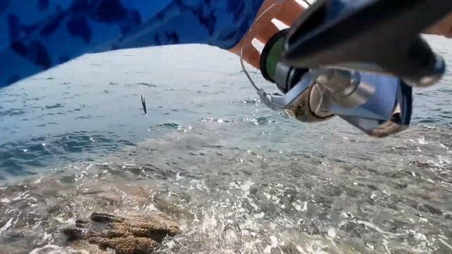 ГОЛЯМА синагрида и ТРОФЕЕН зарган на DUO Lance / BIG Dentex and monster Needlefish on DUO Lance смотреть онлайн