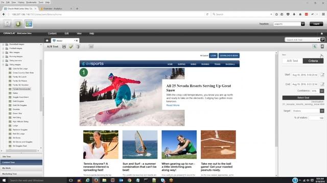 Oracle WebCenter Sites 12c A/B Testing Contributor смотреть онлайн