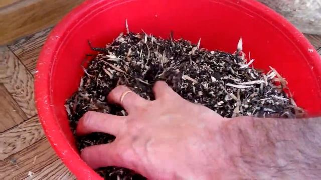 Посадка в контейнеры укорененных черенков винограда смотреть онлайн