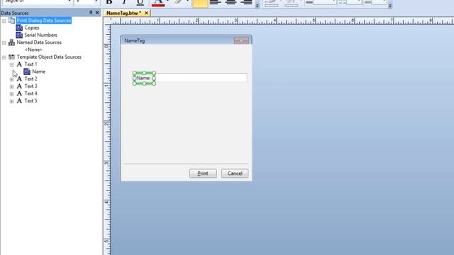Data Entry Forms in BarTender Software: Designing a Data Entry Form (Tutorial) смотреть онлайн