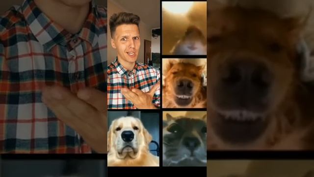 Как нарисовать 7 звезд не отрывая руки| Приколы от Василича | #shorts смотреть онлайн
