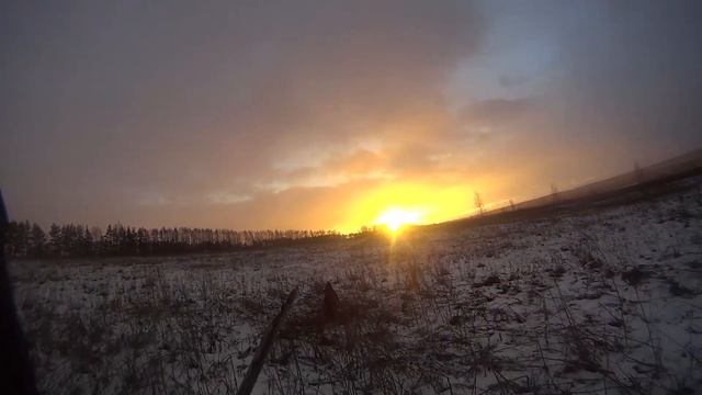 Охота на куницу с лайкой. смотреть онлайн