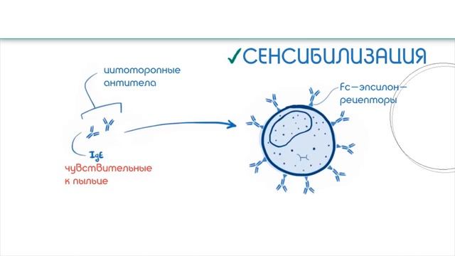 #аллергии, Актуальные проблемы аллергологии смотреть онлайн