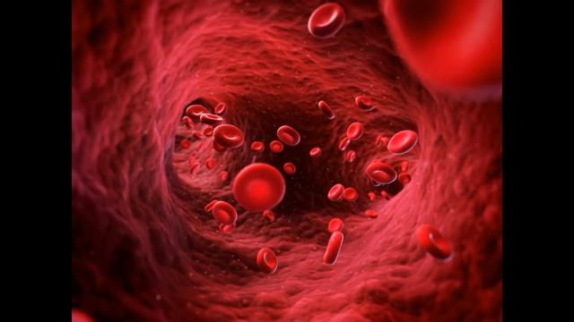 Земля - это ОРГАН БОГА (Форма Земли. Версия 1) смотреть онлайн