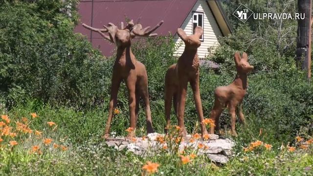 Алло, мы ищем врачей! Николаевской районной больнице срочно нужны специалисты смотреть онлайн