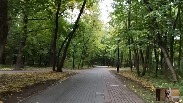 Сын бизнесмена оскорбил старую гадалку… То, что случилось потом, заставило всех вздрогнуть... смотреть онлайн