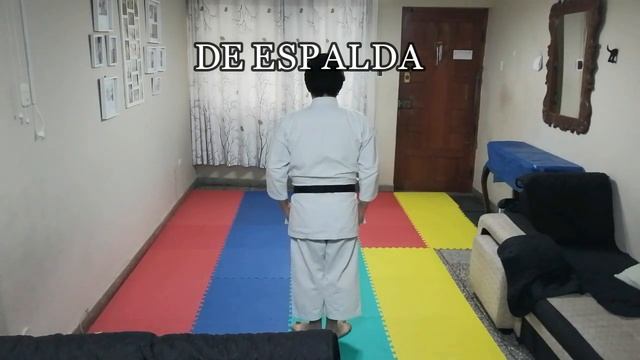 Kata Heian Shodan Shotokan ????