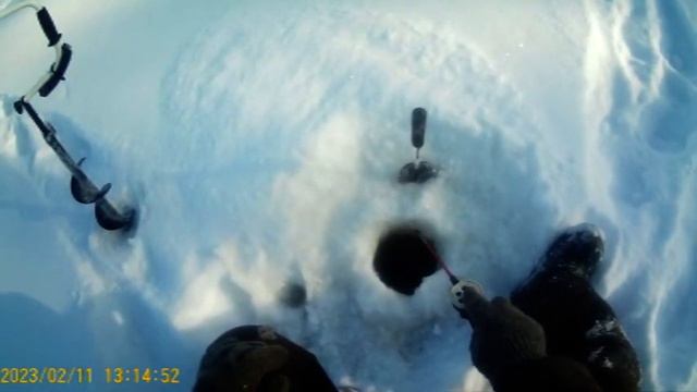 С волками жить, лучше дома ночевать. смотреть онлайн