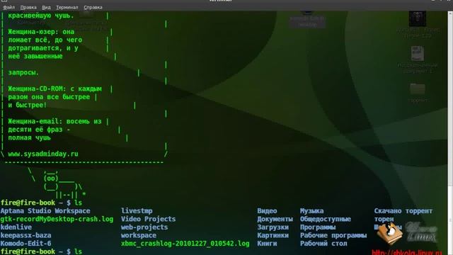 Урок №1, ознакомление с командной строкой Linux смотреть онлайн