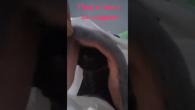 котичек зёзичек 6 смотреть онлайн