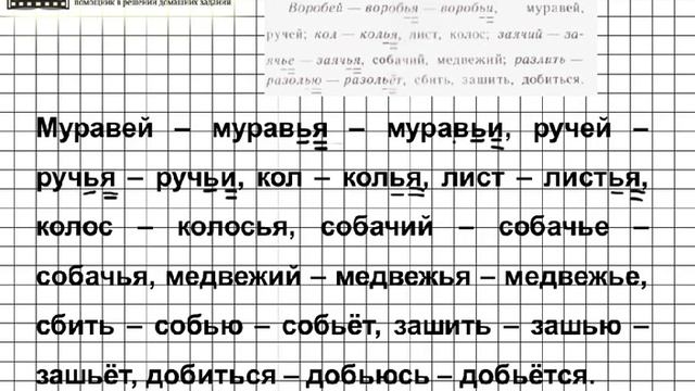 Задание № 55 — Русский язык 5 класс (Ладыженская, Тростенцова) смотреть онлайн