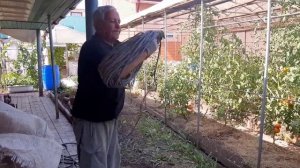 Обжигание кабеля без дыма