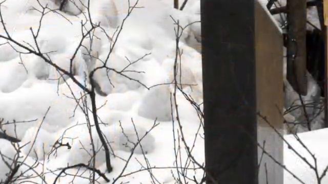 День памяти Ефима Галкина - Март 19, 2010 смотреть онлайн