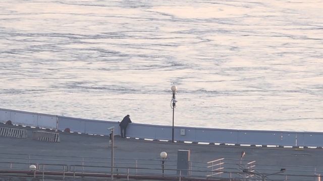 За сколько времени можно поймать рыбу Утро На рыбалке Волга Вот где находиться вся рыба 2020 релакс смотреть онлайн