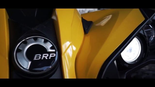 Дорожная пушка Brp Renegade1000 смотреть онлайн